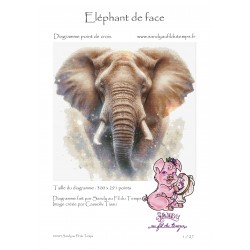 Eléphant de face - Format...