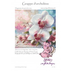 Grappe d'orchidées - Format...